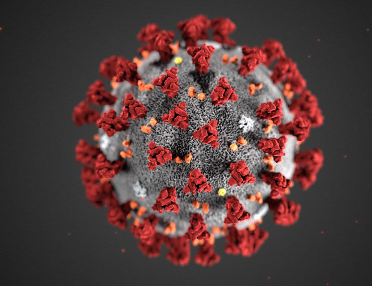 Coronavirus