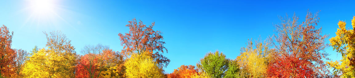 Autumn colours